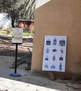 חג המושב - הכל אודות דקל, 2022